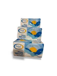 FELISH- TISUE 200 SHEET 2 ply Tisue soft and smooties