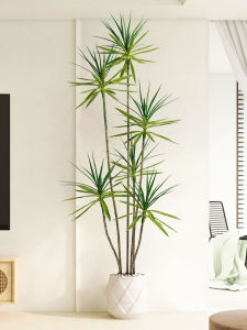 High Quality Hall Decorative Imitation Agave Plant