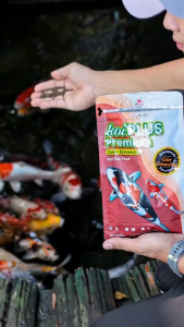 5KG Koi Plus Koi Food Premium Growth Enhancing and Color Enhancing