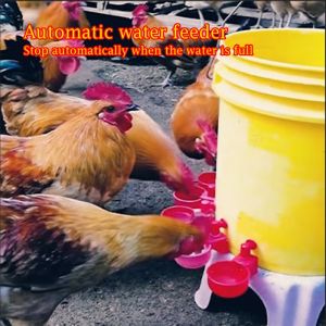 2/4/6Pcs Automatic Drinker Duck Chicken Drinking Cup Chicken Feeder Farm Coop Poultry Waterer Drinking Water Feeder System Farm