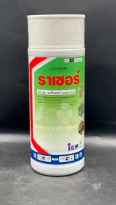 ลัดดา ราเซอร์ ขนาด 1 ลิตร อะซีโทคลอร์ อะเซโทคลอร์ คุมหญ้า คุมแห้ง คุมหญ้าใบแคบ ใบกว้าง แห้วหมู ในมันสำปะหลัง อ้อย ข้าวโพด (ก่อนงอก) นาน 3 เดือน npkplant