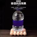 100 Boxes Disposable Transparent Plastic Egg Tray Drop-Resistant Native Egg Storage Box 6 Pieces 8 Pieces 10 Eggs Box. 