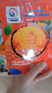 (Gói 1gr) Hạt Giống Hoa Vạn Thọ Thái Lỡ Cam Đỏ F1 PH-ZINDI PHƯỢNG HOÀNG