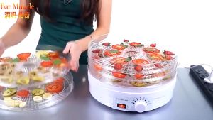 700W Healthy Food Dehydrator Fruit Vegetable Herb Meat Drying Machine 水果烘干机 pengering buahan mesin pengerin