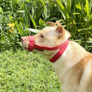 Dog Mouth Cover Anti-Bite Eating Mask Prevent Crying Small Medium Large Puppy Mouth Cover Anti-Loose Short Mouth Pet Mask