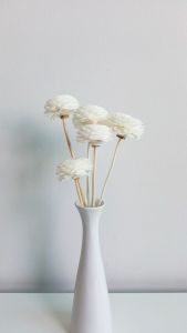 ดอกไม้ดูดน้ำหอมติดก้าน ดอกบานชื่น ขนาด 4 ซม. ติดก้าน ดอกไม้ตกแต่ง ดอกไม้ประดิษฐ์ 10 ดอก