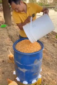 Đầu Ống Máng Ăn Cho Gia Cầm Chống Mưa Chống Nắng Chống Ẩm Chăn Nuôi Gia Cầm