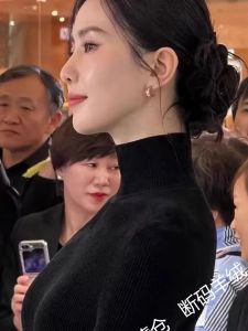 Black High Collar Cashmere Sweater Womens Autumn Winter Inner Wear Knitted Wool Base Shirt Liu Shishi 100% Pure Wool Sweater