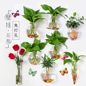 Creative Wall Hanging Small Vase Wall-Mounted Hydroponic Plant Glass Bottle Transparent Scindapsus Aureus Wall Hanging Vase Wall-Mounted Flower Pot