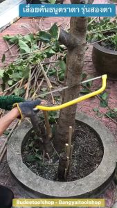 EYE BRAND เลื่อยคันธนูตราตา รุ่นสองตา ขนาด 24 นิ้ว เลื่อยต้นไม้ เลื่อยกิ่งไม้ รูปแบบ Bow saw