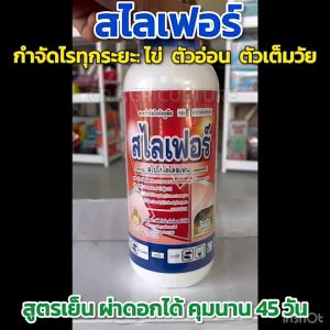 สไลเฟอร์ สไปโรไดโคลเฟน 24% SC สารกำจัดไร กำจัดไร (ทุกยะ ไข่ ตัวอ่อน ตัวแก่) กำจัดไรทุกชนิด ไรแดง ไรขาว ไรสนิม ไรแมงมุม ขนาด 1 ลิตร #โอเบรอน