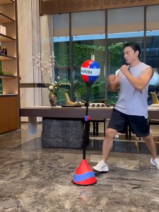 Freestanding Boxing Speed Punch Ball Adjustable Height 12 Suction Cup Base Reflex Training Bag for Home Gym Workout Equipment