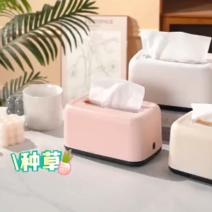 Kotak Tisu Ruang Tamu Kotak Meja Kopi Mobil Plastik Mewah Ringan Modern-Emily Tissu Box