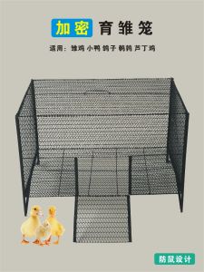 Large Size Chicken Coop Eggling Cage Indoor Outdoor Duck Goose Pigeon Cage Pet Bird Cages for Home Use Anti-Rat Encryption
