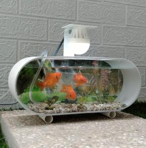 AQUARIUM MINI FULLSET MURAH DAN BAGUS LENGKAP BUNGA HIAS BATU WARNA LAMPU LED DAN MESIN POMPA AERATOR OXYGEN