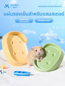 YUEXIAOMENG | Cooling Pad for Hamsters Bed Cooling Toy