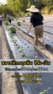 พลาสติกคลุมดินคุณภาพสูง หนา150ไมครอน ขนาด400เมตร ทนUVได้8ปี กันวัชพืช100% สำหรับปลูกผักสวนครัวและสวนผลไม้ ส่งฟรีทั่วไทย