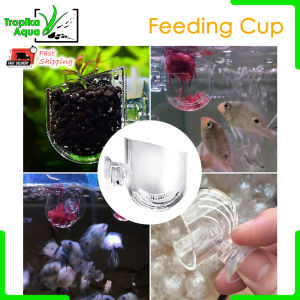 Acrylic Live Food Feeding Cup Planting Cup- aquarium red worm fish food