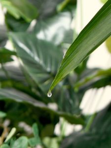 MAH Young Fashion Original Designed Tas Tote Bag Wanita Kerja Casual Bag