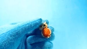 Liontin Rhodium anti stress model Burung Hantu Batu Pasir Emas Coklat
