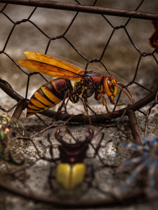 สติ๊กเกอร์ตกแต่งหนังสือบันทึกวันที่ PET ดีไซน์จำลองสร้างสรรค์ อุปกรณ์ตกแต่งกระดาษตัดเย็บ วัสดุอุปกรณ์สำนักงาน วันที่ดี