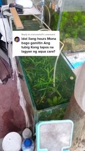 Aqua Care Aquarium Water Conditioner 1L Aquarium Accessories Fish Pet Essentials