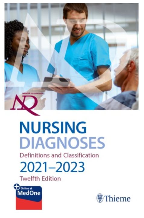NANDA INTERNATIONAL NURSING DIAGNOSES DEFINITIONS CLASSIFICATION 2023 visual data 6