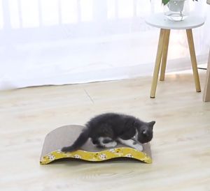 Bàn cào móng hình lượn sóng 42cm cho mèo cào móng xả stress tập luyện