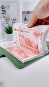 Banknote Collection Album Money Holder for Commemorative BillsMoney Planner Wallet PVC Leather Cash Organizer