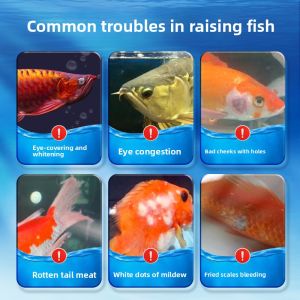 MONLEYTA | Fish Tank Disinfectant & Bacterial Killer for Fish - No Hormones