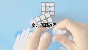 [MSPEEDCUBE] GAN LUBE PROFESSIONAL SPEEDCUBE LUBRICANT