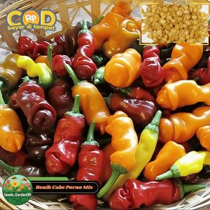 6 BUTIR BIJI/BENIH CABE PORNO PETER PEPPER CAMPUR WARNA (WARNA MERAH & ORANGE)