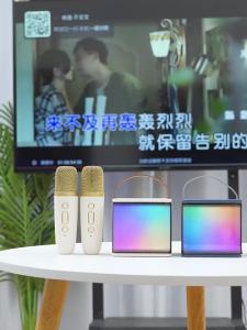 soaiy | Wireless Home Karaoke Microphone Speaker For Kids