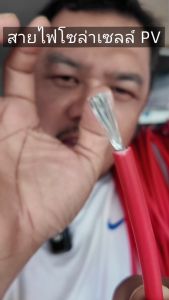 สาย PV 1X6 สีแดง-สีดำ ให้เลือก ยาว 50 เมตร พร้อมเข้าหัว MC4 1 ด้าน สายไฟ Solar Cable สายไฟโซล่าเซลล์ ขนาด 6 SQMM ฉนวน 2 ชั้น XLPE มีประกัน