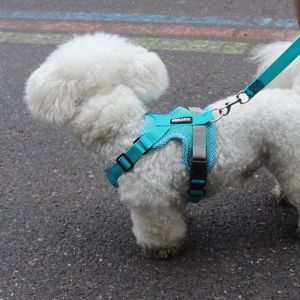 Dog Mesh Breathable Reflective Harness | Dog Harness with Matching Leash for Small Dogs Cats