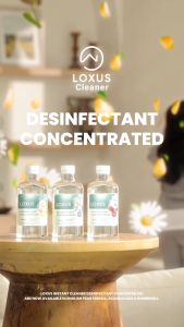 Loxus Concentrated Desinfectant Pembunuh Bakteri Bisa Untuk Mengepel Lantai dan Barang Lainnya di Rumah
