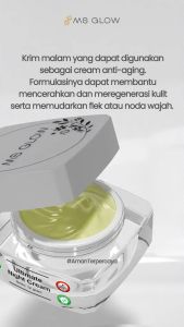 MS Glow Night Cream Ultimate - Penghilang Flek Hitam Ampuh - Cream Malam Ms Glow