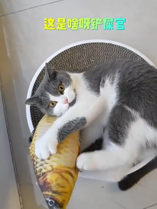 [🐾RedPanda]ของเล่นแมวมิ้นท์ ของเล่นแมว ของเล่นผ้าฝ้ายปลา ของเล่นแมวทุกชนิด อุปกรณ์สัตว์เลี้ยง ตุ๊กตาปลา มีส่วนผสมของมินต์แมว