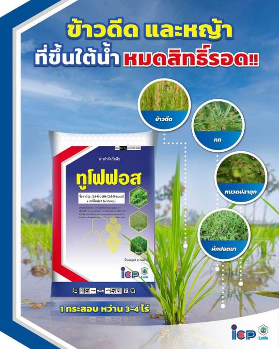 ทูโฟฟอส ยาหว่านหญ้า ควบคุมแมลง กำจัดวัชพืช