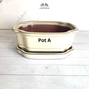 The Leaferie Bonsai Pot with tray (Series 40) Rectangle Plant pot Ceramic Flowerpot . planter . Flower pots