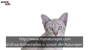 Renal Essentials Pro Kidney 60 ชิ้น ค่า ไต สูง เสื่อม ไตวาย บำรุง ลดค่าไต สุนัข หมา แมว เข้มข้นที่สุด ได้ผล vetri Vetriscience