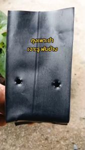 ถุงเพาะชําสีดํา ขนาด 3x7 นิ้ว 1 กก.
