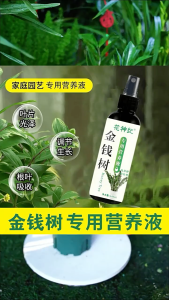 100ML Money Tree Dedicated Nutrient Liquid Fertilizer 金钱树专用营养液 Zamioculcas zamiifolia Fertilizer