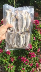 1kg Khô Cá Đù Lỡ Vị Mặn Vừa Ăn Cơm Canh Ngọt Mát Chiên Cơm Cá Mặn Rất Ngon Rẻ- ĐẶC SẢN MINH TRIẾT