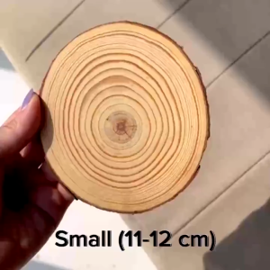 3Pcs Wood Coaster Rounds Wooden Circles Ornaments Craft Supplies for DIY and Painting