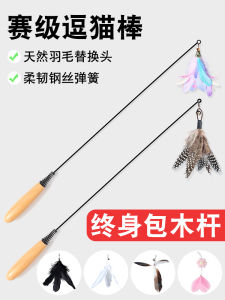 Cat Toy Feather Dangle Long Stick Bamboo Dragonfly Interactive Chew Resistant Replacement Head for Kittens Boredom Buster