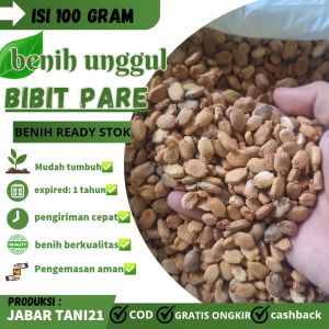 (100 GRAM) BENIH PARE|BIJI PARE UNGGUL.berkulitas