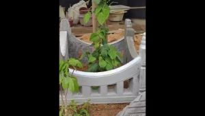 [2330 Positive Review ] New Garden Fence Mold Courtyard Flower Bed Surrounding Stone Garden Cement Brick Mold Road Curb Stone Lawn Tile