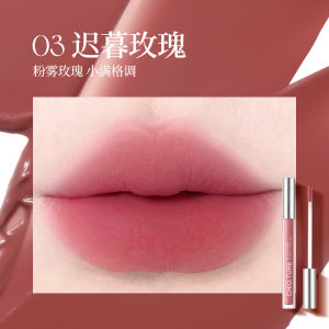 Chioture Mirror Surface Water Gloss G05 Double Head Solid Lip Glaze Moisturizing Naked Color Lip Paint Lipstick Lip Gloss