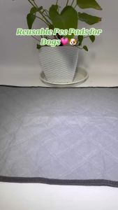 RayCC Reusable Pee Pads: The Ultimate Solution for Potty Training Your Small Dog